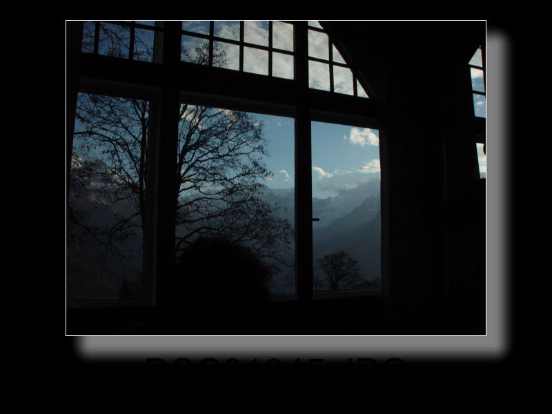 Braunwald 20x