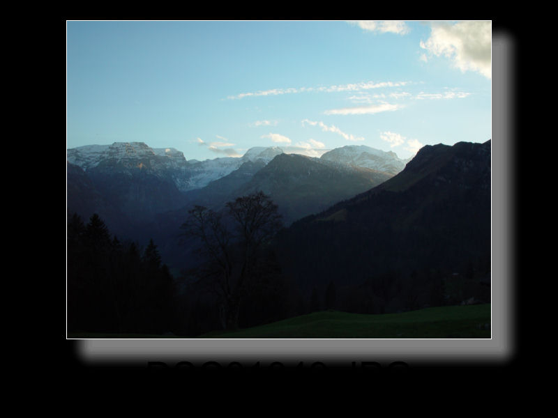 Braunwald 23x