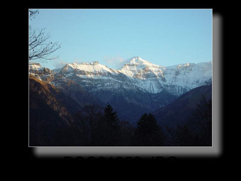 Braunwald 26x