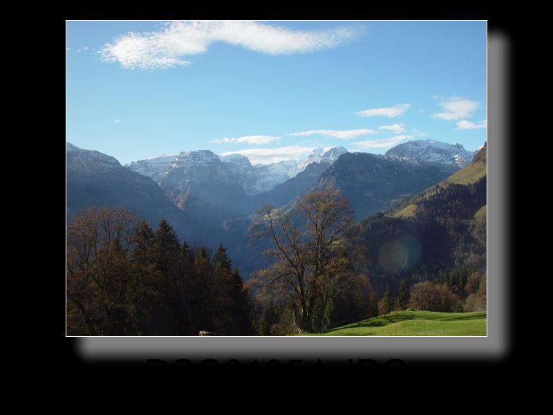 Braunwald 28x
