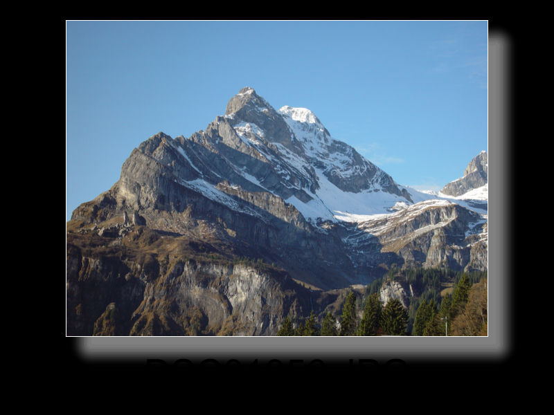 Braunwald 30x