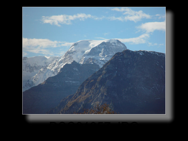 Braunwald 31x