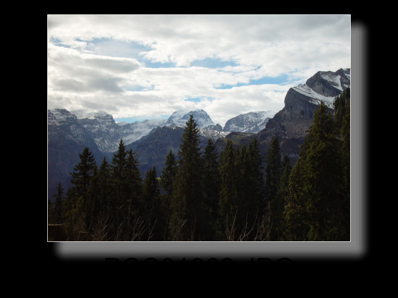 Braunwald 35x