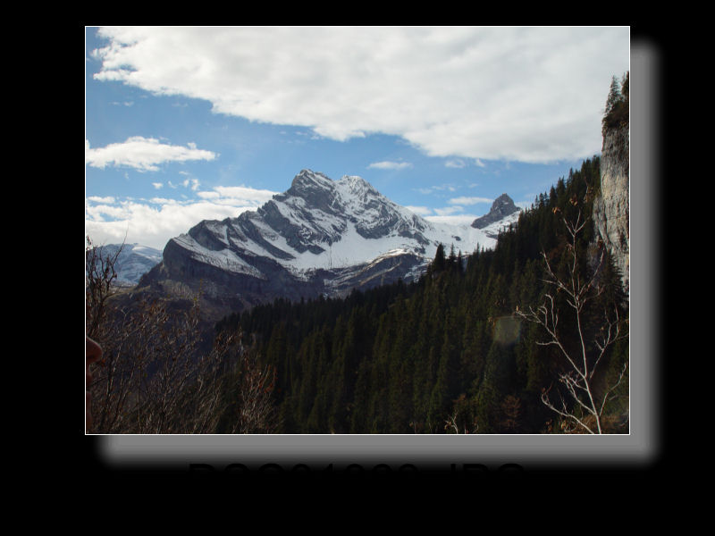 Braunwald 40x
