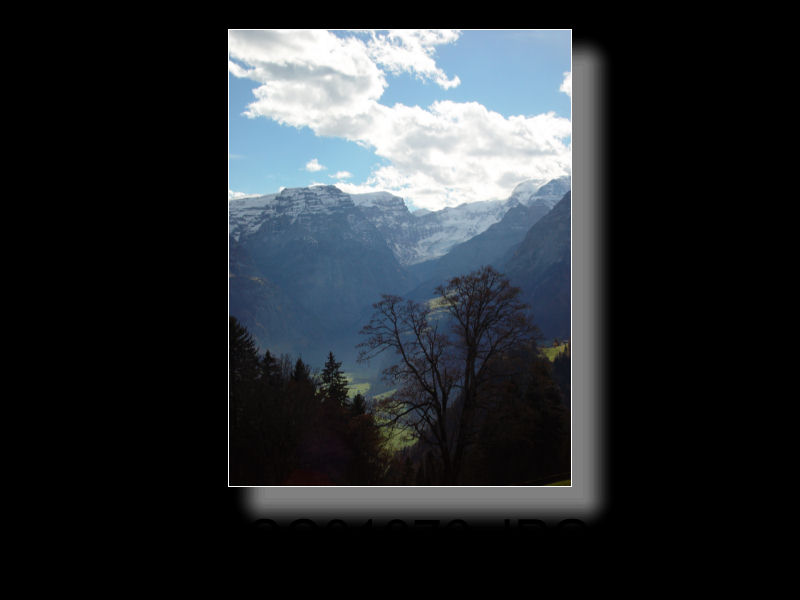 Braunwald 48x